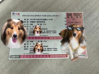 （分類：）位於 。 由 star_ticketing 提交（商品編號 1324298108，圖片 1）。簡介： 。