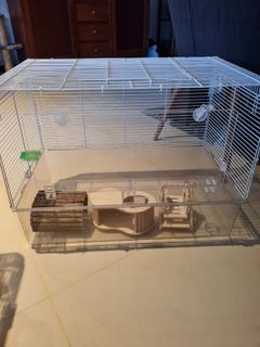 (Category: ) located in . Submitted by Kitty_mom (Listing ID 1324194426, Image 1). Description: .