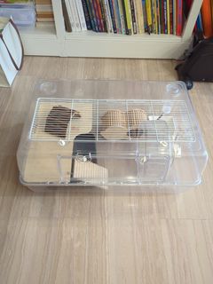 (Category: ) located in . Submitted by tutty (Listing ID 1324244918, Image 1). Description: .