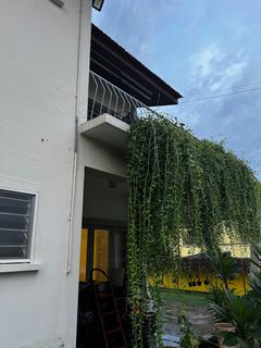 (Category: ) located in . Submitted by greenlab_kl (Listing ID 1324276181, Image 1). Description: .