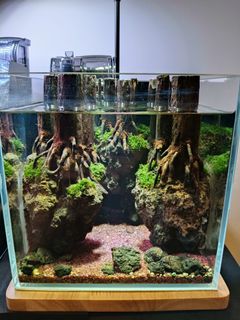 (Category: ) located in . Submitted by bleuzenscape (Listing ID 1324510192, Image 1). Description: .