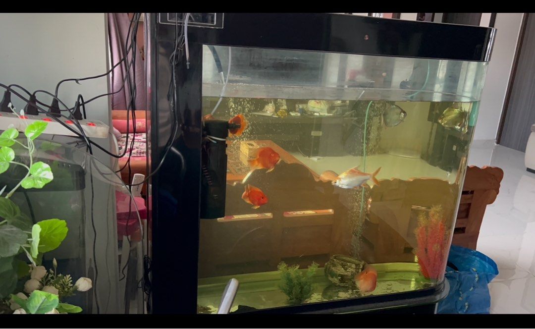Fish tank for sale with accessories for 150