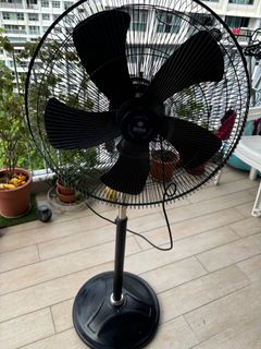 (Category: ) located in . Submitted by ajnayak (Listing ID 1324385572, Image 1). Description: .