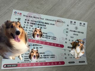 （分類：）位於 。 由 star_ticketing 提交（商品編號 1324469640，圖片 1）。簡介： 。