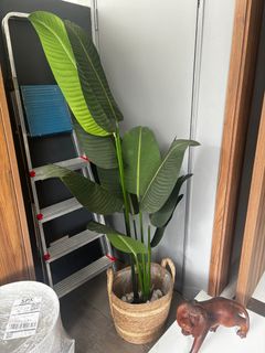 (Category: ) located in . Submitted by Homebargains (Listing ID 1324401051, Image 1). Description: .