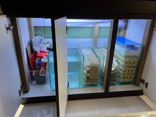 (Category: ) located in . Submitted by leefei (Listing ID 1324640865, Image 1). Description: .