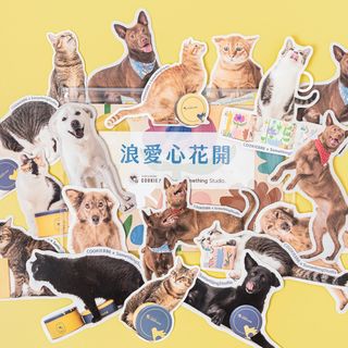 （分類：）位於 。 由 ZzzzH 提交（商品編號 1324716151，圖片 1）。簡介： 。