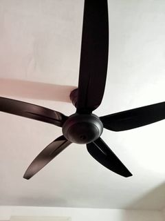 [NEW] Alpha Remote Control DC Motor Ceiling Fan ( 5 YEARS MOTOR ...