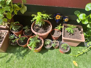 (Category: ) located in . Submitted by sushenam (Listing ID 1324586039, Image 1). Description: .