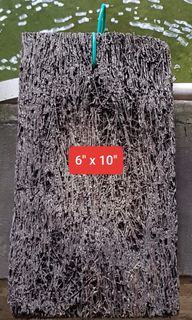 (Category: ) located in . Submitted by pwjt9d (Listing ID 1324651372, Image 1). Description: .
