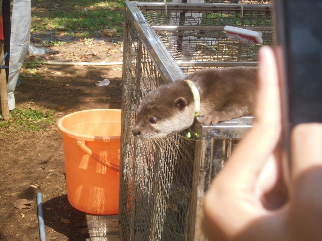 Kamera digicam Casio Exilim Ex-Z35 Baby Pink Rare, Fotografi di