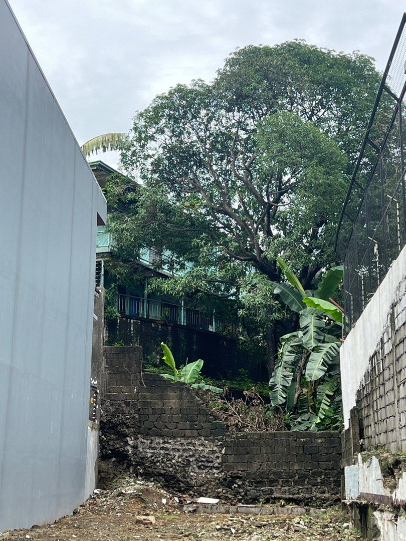 St Ignatius Below Market Value (Category: House & Lot) located in Taguig. Submitted by brokerhanstaneo_09178038728 (Listing ID 1324649686, Image 2). Description: St Ignatius Quezon City Lot size: 210 sqm P200,000 per sqm.