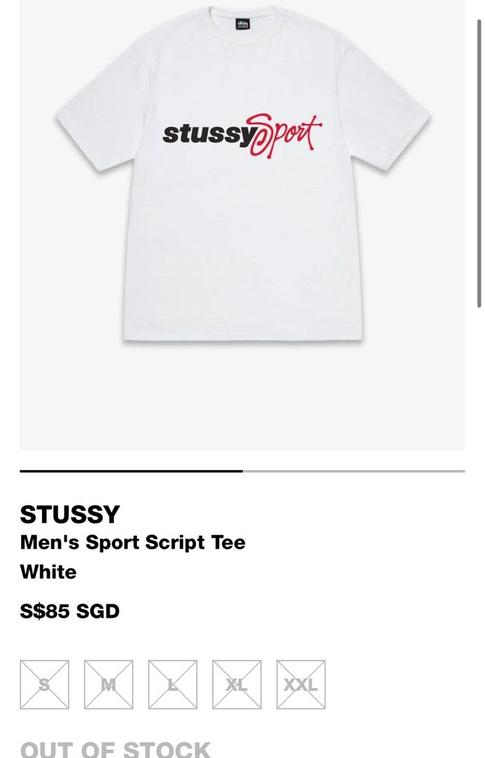 Stussy Sport Script 細長く Tee 