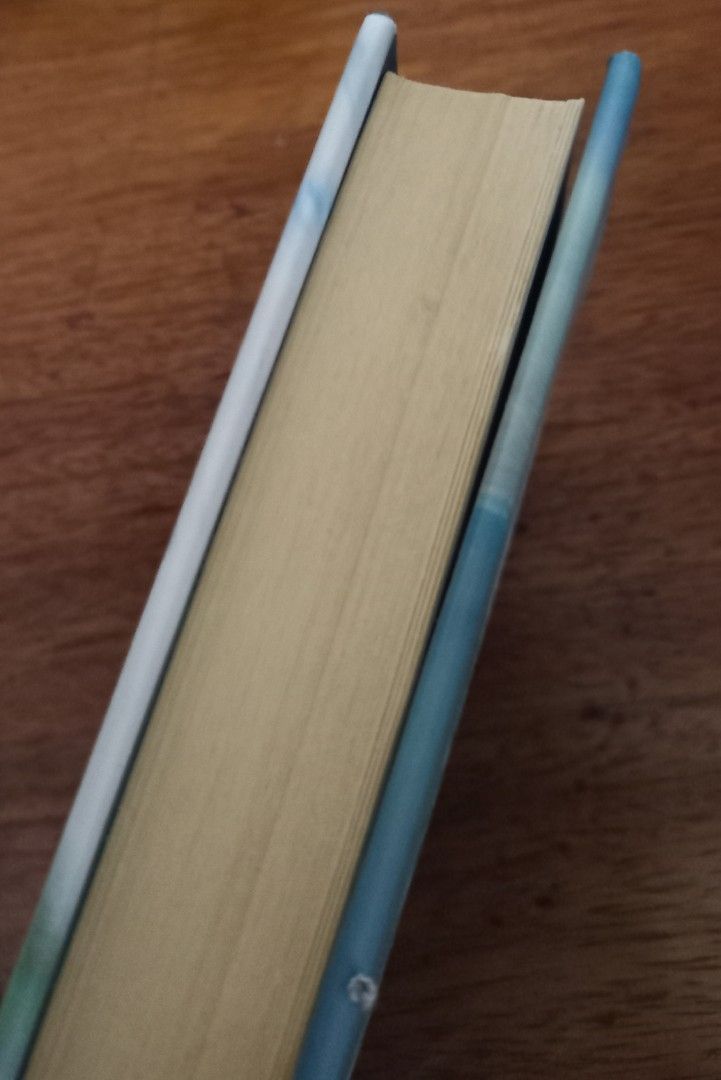 The First Time She Drowned...Kerry Kleeter, Hobbies & Toys, Books