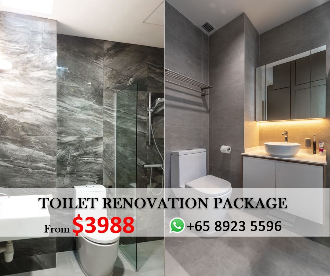 Toilet Renovation62863114695042110