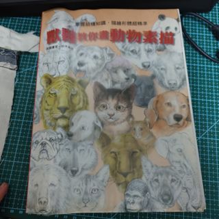 （分類：）位於 。 由 skywolfonl81569 提交（商品編號 1344876957，圖片 1）。簡介： 。