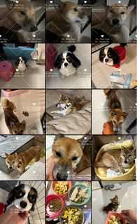（分類：）位於 。 由 manyuenl 提交（商品編號 1344882504，圖片 1）。簡介： 。