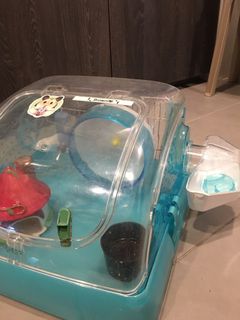 (Category: ) located in . Submitted by chiaws (Listing ID 1344761764, Image 1). Description: .