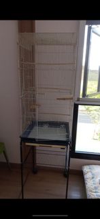 (Category: ) located in . Submitted by omcatsg (Listing ID 1346555909, Image 1). Description: .