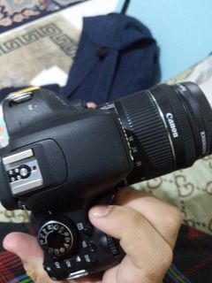 (Category: ) located in . Submitted by paan_nn (Listing ID 1346625308, Image 1). Description: .