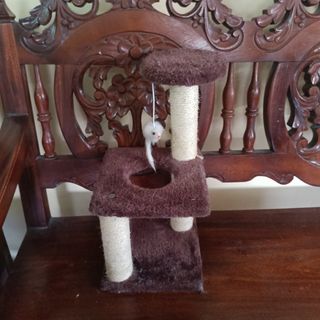(Category: ) located in . Submitted by springcart (Listing ID 1346510010, Image 1). Description: .