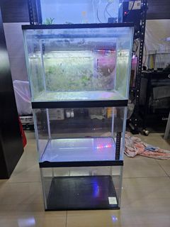 (Category: ) located in . Submitted by oougui (Listing ID 1346618605, Image 1). Description: .