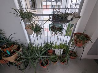 (Category: ) located in . Submitted by yeshe_tan (Listing ID 1346529090, Image 1). Description: .