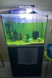 (Category: ) located in . Submitted by jodangol (Listing ID 1346627768, Image 1). Description: .