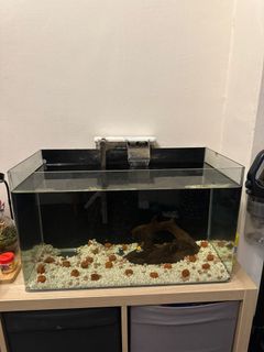 (Category: ) located in . Submitted by mrs.alkhatts (Listing ID 1346637929, Image 1). Description: .