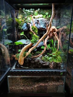 (Category: ) located in . Submitted by Fortune_Green_Design (Listing ID 1346545716, Image 1). Description: .