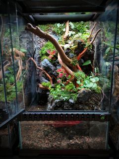 (Category: ) located in . Submitted by Fortune_Green_Design (Listing ID 1346545953, Image 1). Description: .