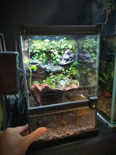 (Category: ) located in . Submitted by Fortune_Green_Design (Listing ID 1346547660, Image 1). Description: .