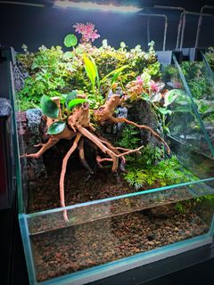 (Category: ) located in . Submitted by Fortune_Green_Design (Listing ID 1346549355, Image 1). Description: .