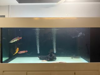 (Category: ) located in . Submitted by afai17 (Listing ID 1346862102, Image 1). Description: .
