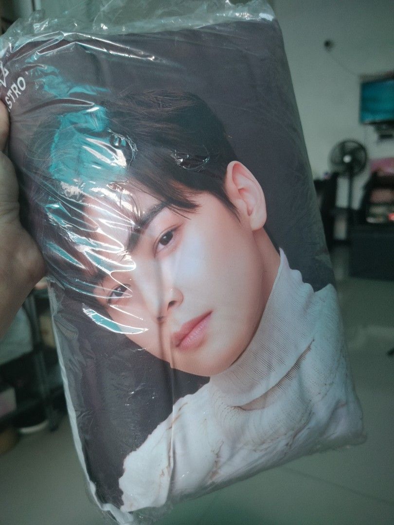 Cha Eun Woo pillow Korean Merchandise (Category: K-Wave Merchandise) located in Valenzuela. Submitted by binibenasa_tindahan (Listing ID 1346751267, Image 3). Description: On hand — Cha Eun Woo pillow 💋🧡 🌸 ₱130 each 🌸 8 x 11 inches __________________ SHIPMENT Location: Valenzuela City 🌸 Lalamove ➖ pay now, same day delivery 🌸 J & T ➖ pay now, ship out next day Item amount + delivery fee.