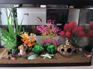 (Category: ) located in . Submitted by jaredyong8796 (Listing ID 1346687337, Image 1). Description: .