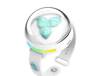 （分類：）位於 。 由 melww0.0 提交（商品編號 1347075565，圖片 1）。簡介： 。