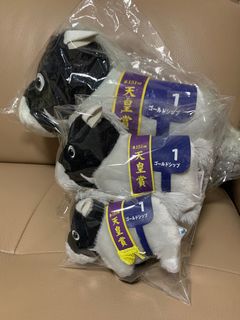 （分類：）位於 。 由 gracesellerr 提交（商品編號 1347033041，圖片 1）。簡介： 。