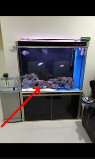 (Category: ) located in . Submitted by brightfire.571f37 (Listing ID 1346950880, Image 1). Description: .
