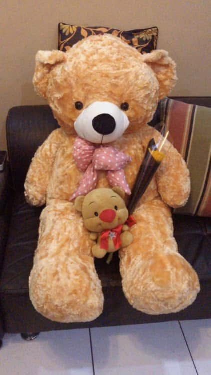 Giant Teddy Bear (Category: Plushies & Soft Toys) located in Quezon City. Submitted by cleanspaceph (Listing ID 1346914613, Image 1). Description: Giant Teddy Bear for Sale! Like new This has been stored properly, please see 2nd photo .