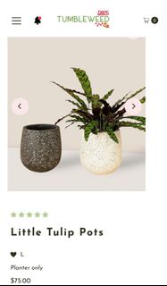 (Category: ) located in . Submitted by sellerofstuff (Listing ID 1346893706, Image 1). Description: .