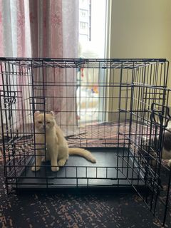 (Category: ) located in . Submitted by sofwan_ (Listing ID 1346926455, Image 1). Description: .