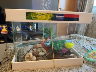 （分類：）位於 。 由 wiserabbit_f53828 提交（商品編號 1346947773，圖片 1）。簡介： 。