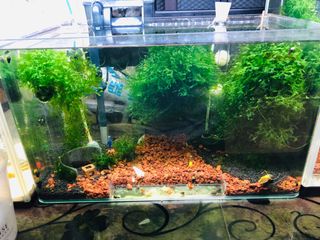 (Category: ) located in . Submitted by niklasluck (Listing ID 1347018638, Image 1). Description: .