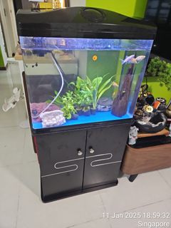 (Category: ) located in . Submitted by lisanguyen (Listing ID 1347127464, Image 1). Description: .