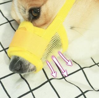 (Category: ) located in . Submitted by elizpetshop (Listing ID 1347084197, Image 1). Description: .