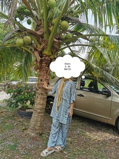 (Category: ) located in . Submitted by Danda (Listing ID 1347207308, Image 1). Description: .