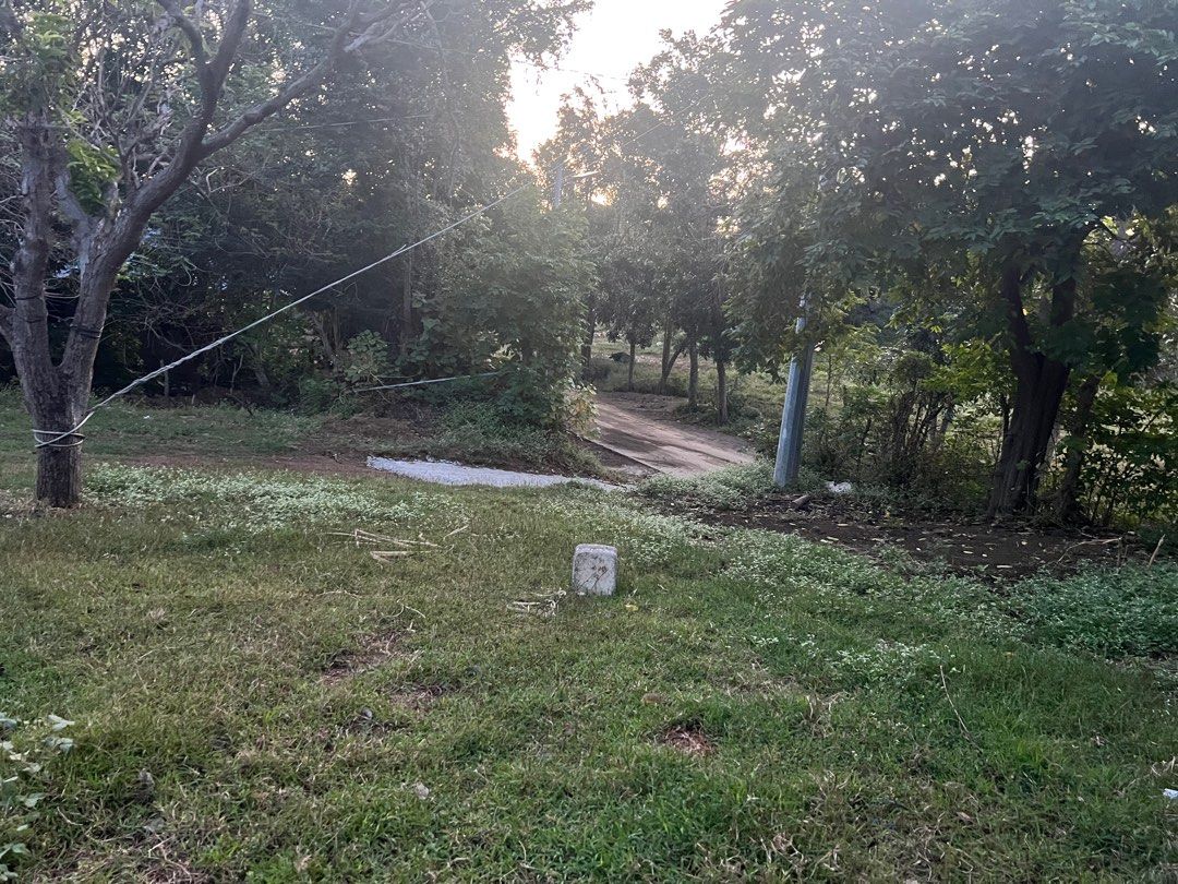 2 Hectars Lot (Category: House & Lot) located in Tuy. Submitted by sparky0910 (Listing ID 1347348318, Image 2). Description: 2 Hectars Lot 25 mango trees 🌳 800 per square (negotiable) Barangay Paraiso Calatagan 09669556201.