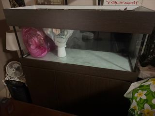 (Category: ) located in . Submitted by busaridersg (Listing ID 1347310919, Image 1). Description: .