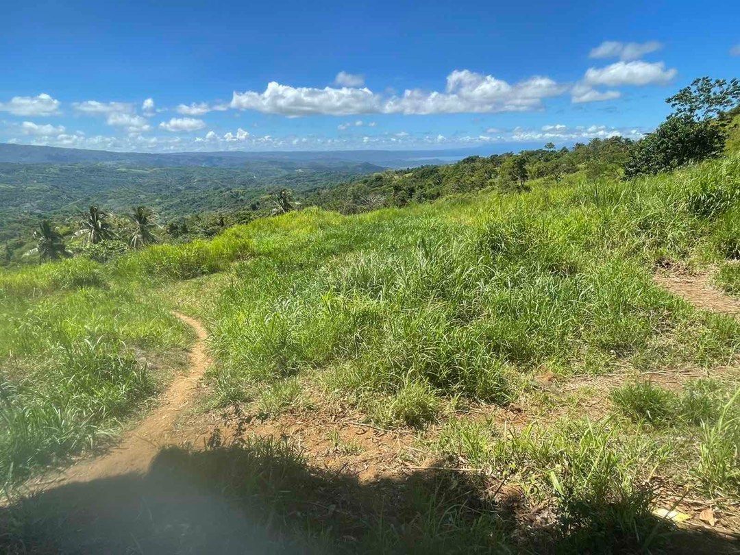 Farm lot with view (Category: Lot) located in Quezon City. Submitted by rebfaye (Listing ID 1087785918, Image 3). Description: Farm lot for sale located at Sitio Mayagay, Sampaloc, Tanay Rizal, almost at the back of Martessem Mountain resort (accross Tanay Highlands) Lot area 5 hectares, with amazing view, with access Road , Near Highway, Titled updated real Property Tax. Price : Php 1,500/sqm nego Call/text 09175073353 if interested Also availab